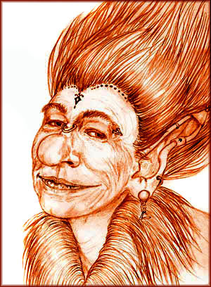 Troll Chief's Wife by Deborah Dixon